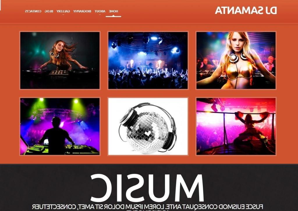 DJ Responsive WordPress Theme